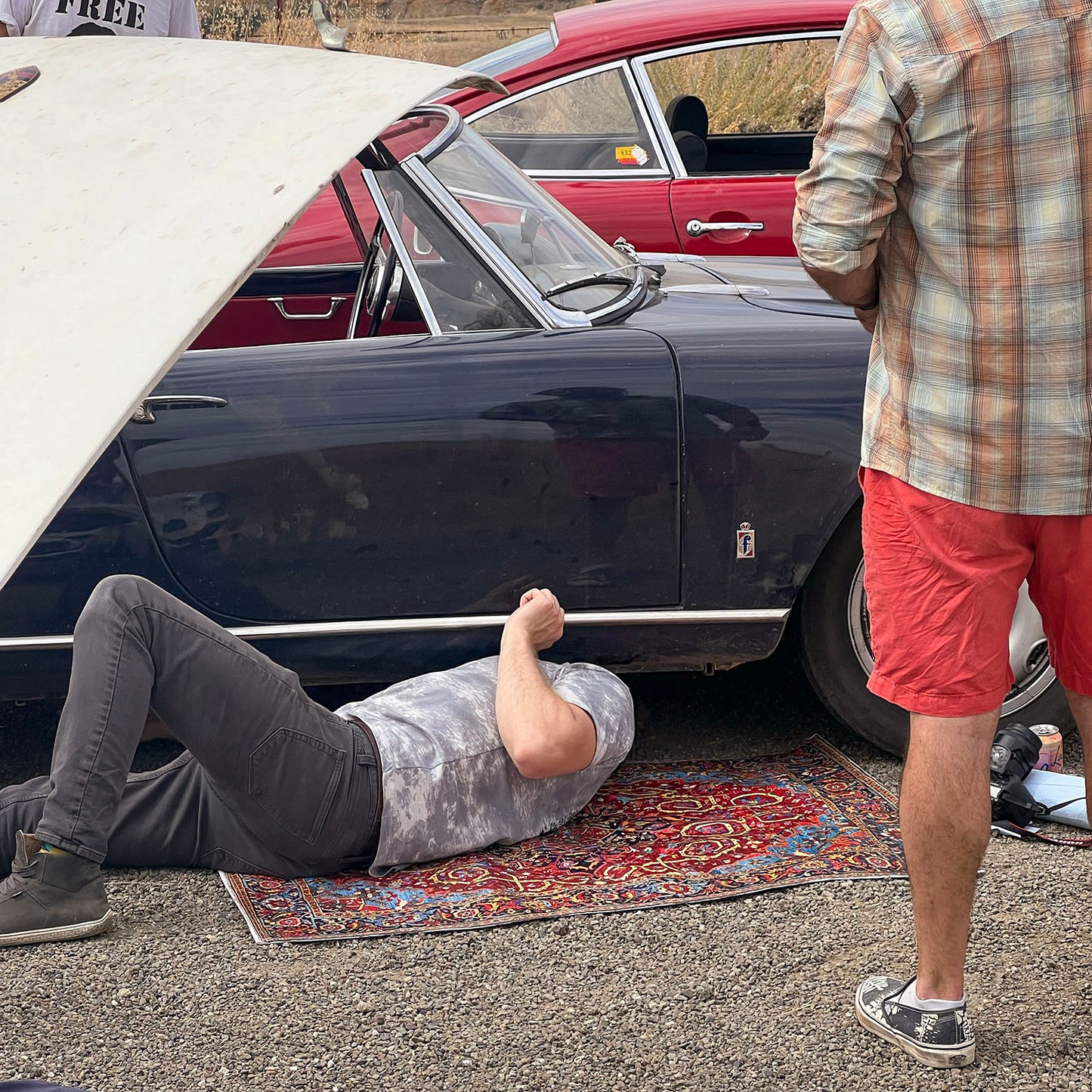 Persian Maintenance Mat